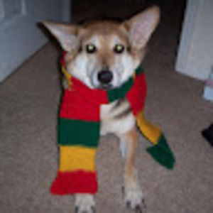 Meet your Posher, Corinne